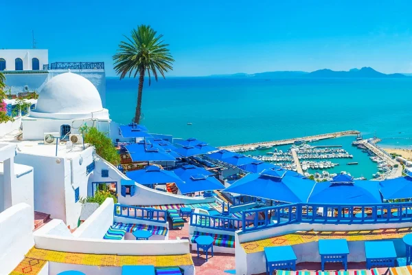 نمایی هوایی از شهر سیدی بو سعید در آفریقا