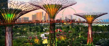 SINGAPORE - MARCH 05, 2013 : Gardens by the Bay at dusk in Singapore. Gardens by the Bay was crowned World Building of the Year at the World Architecture Festival 2012